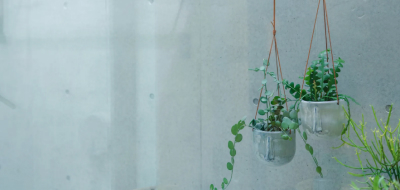 コラムのサムネイル