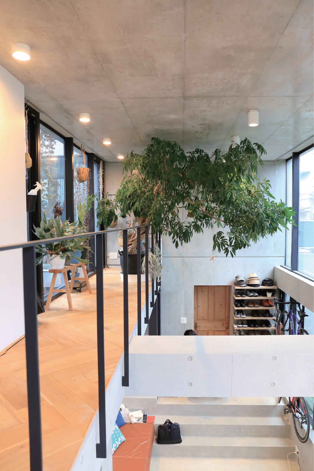2階の細長いスペースは、 たくさんの植物を置いて緑を楽しむ場所。