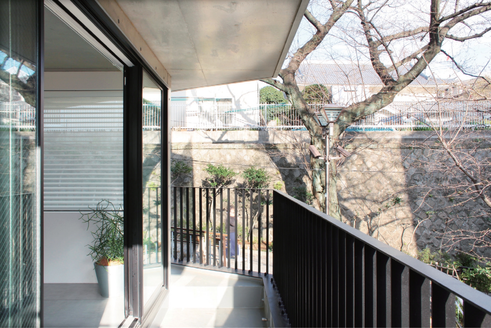 テラスの目の前は桜並木。お子様の遊ぶ公園はすぐ近く。