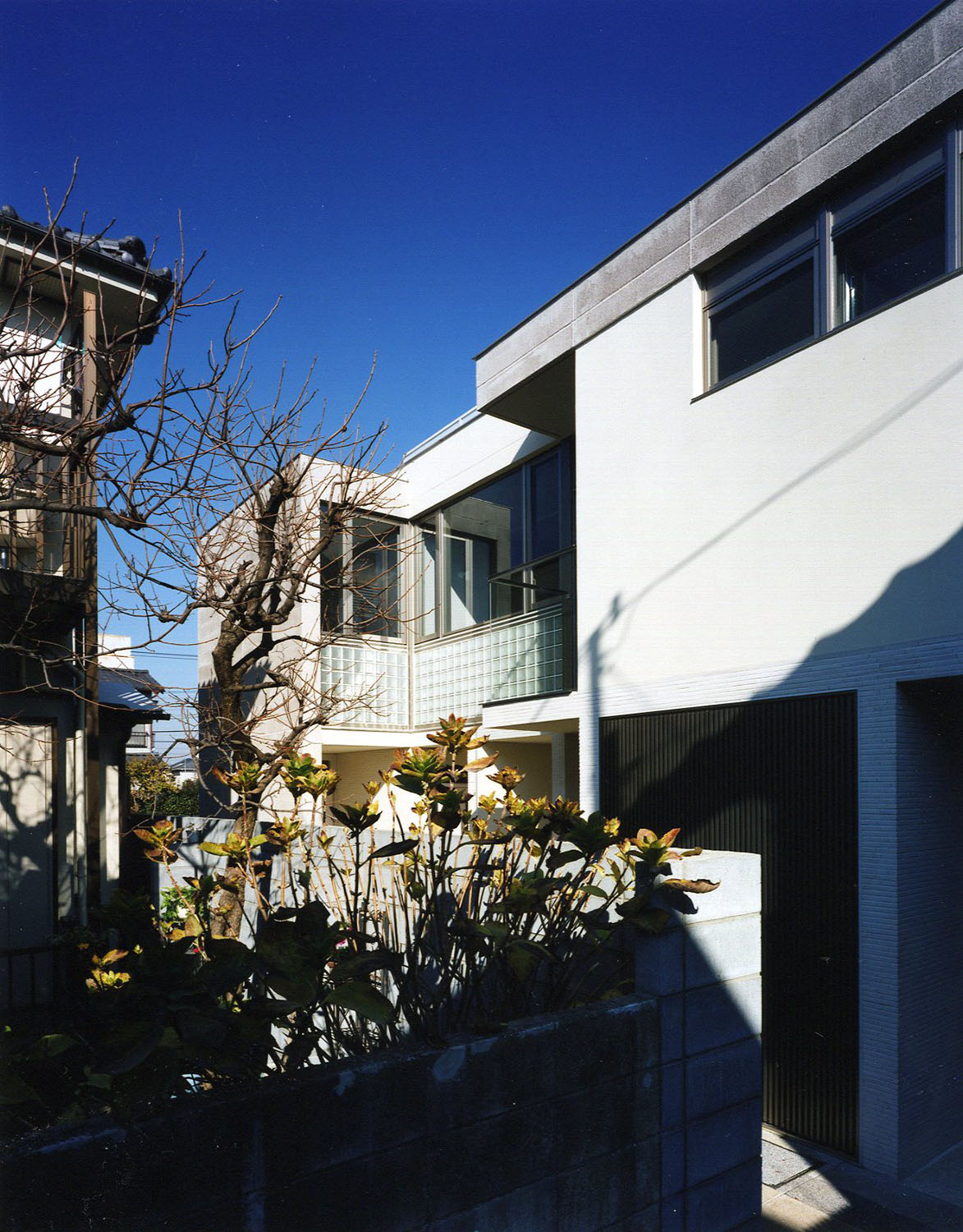 石神井公園の集合住宅