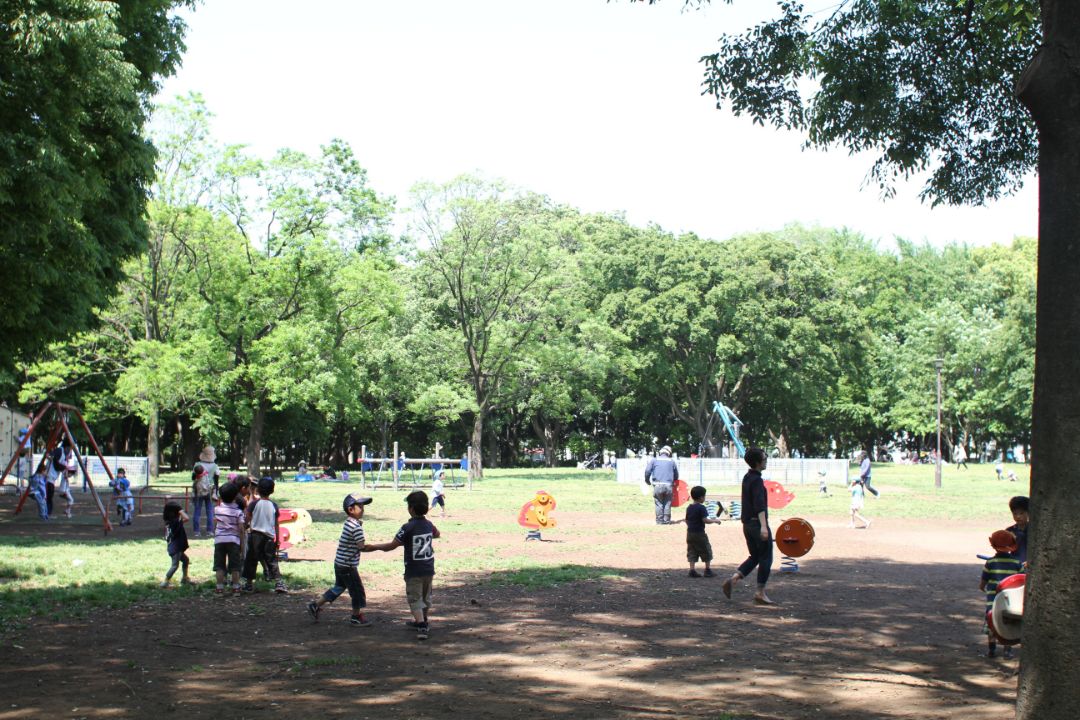 砧公園