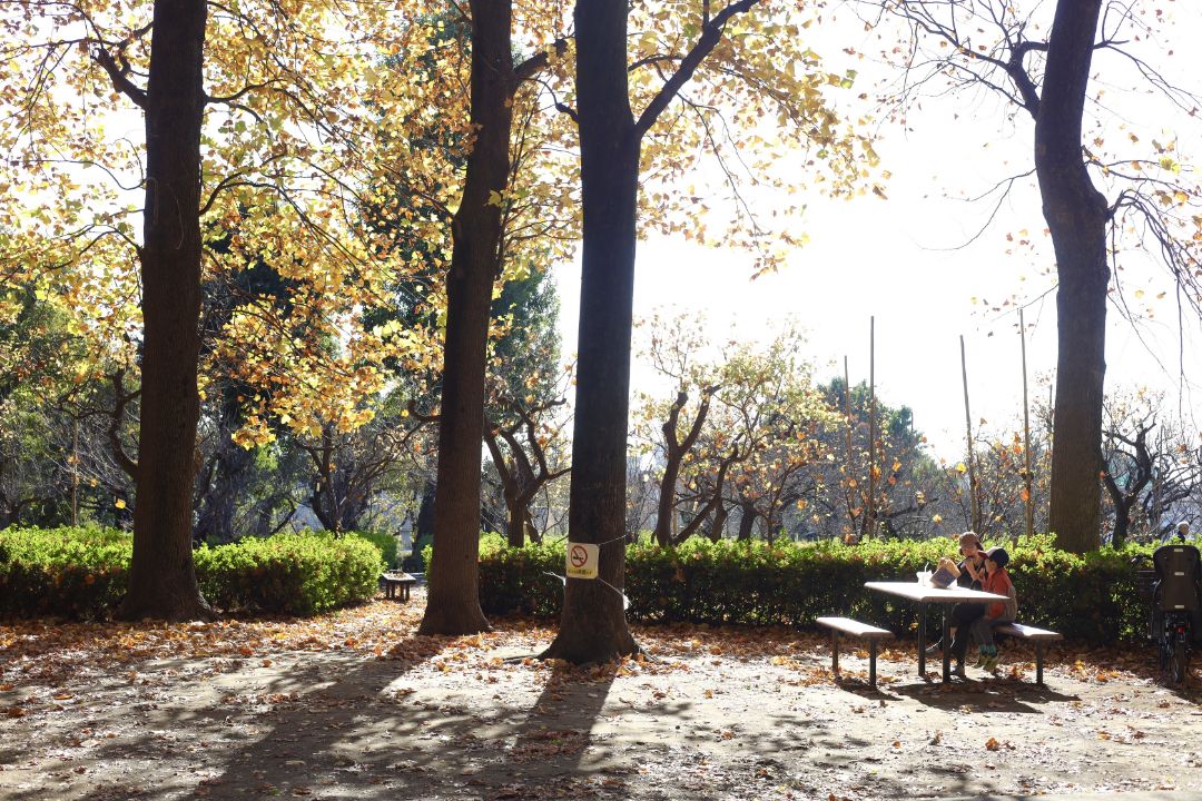 羽根木公園