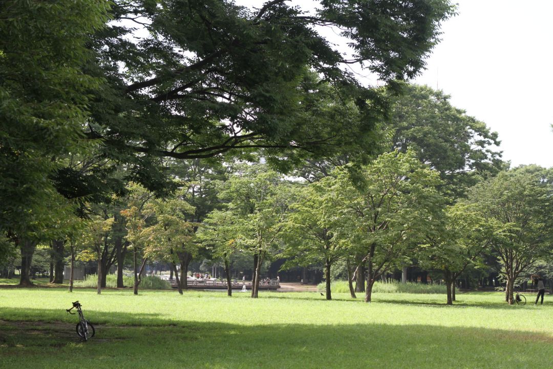 代々木公園