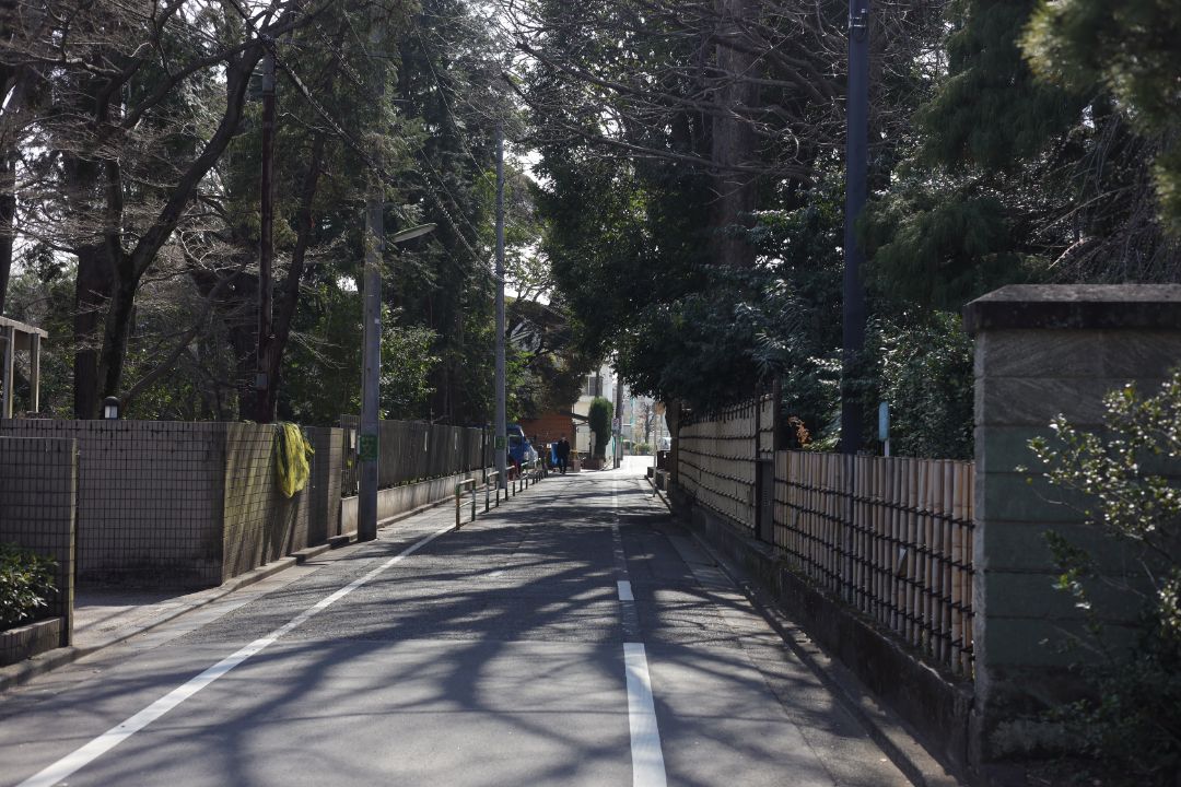長嶋大榎公園の緑