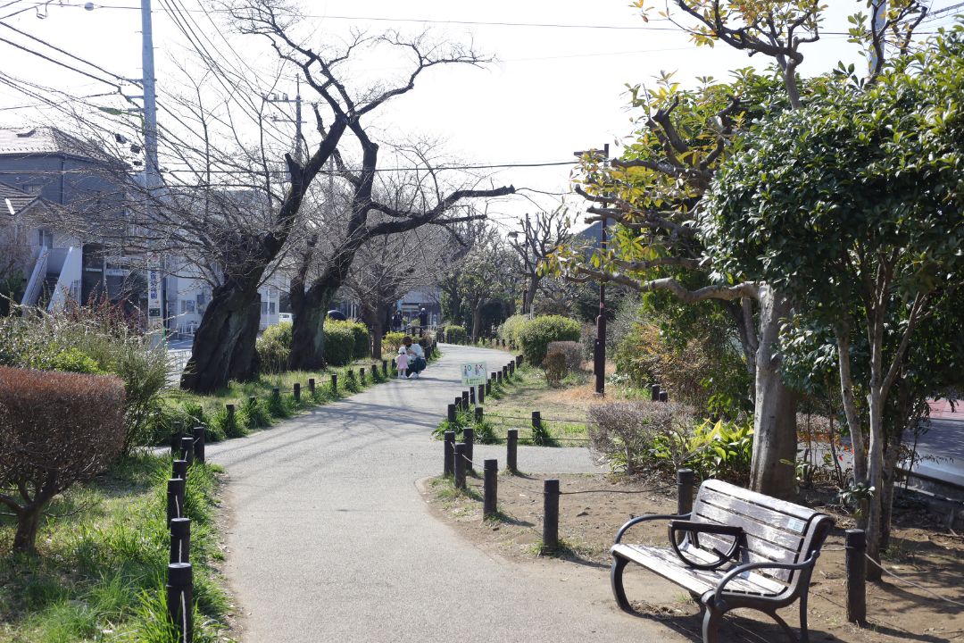 烏山川緑道