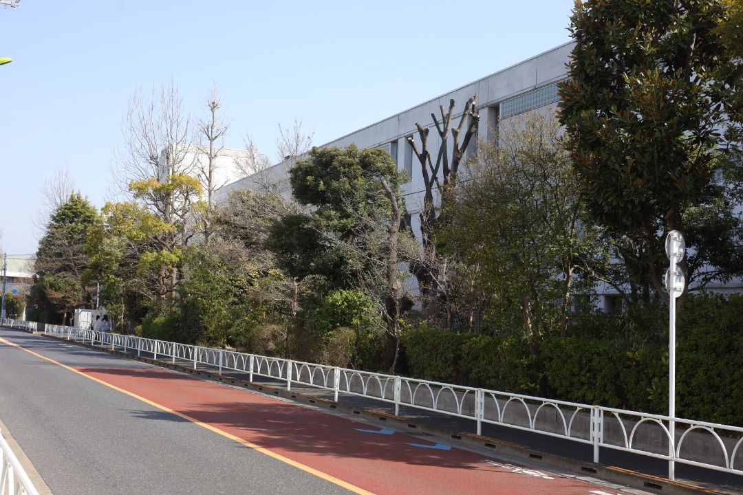 鴎友学園