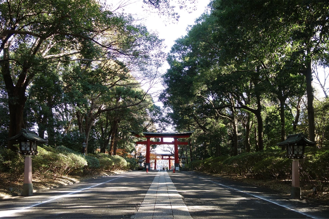 大宮八幡宮（徒歩2分）