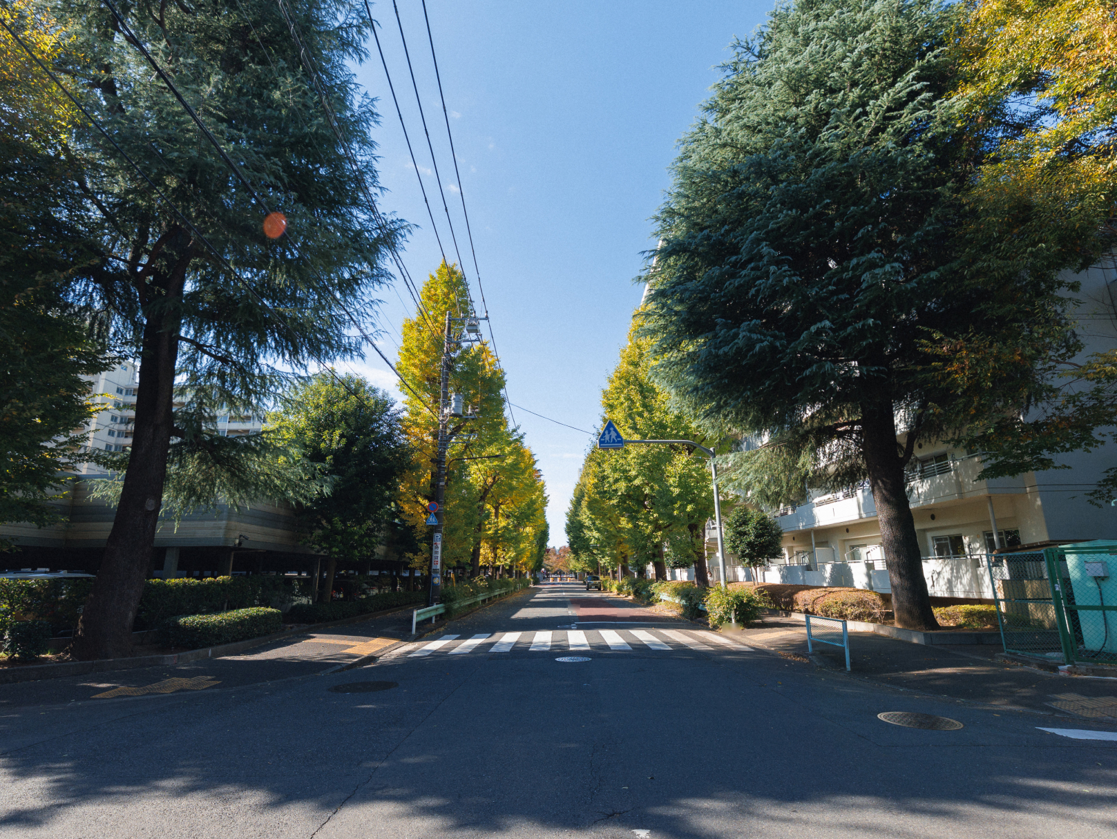 計画地周辺の街並み