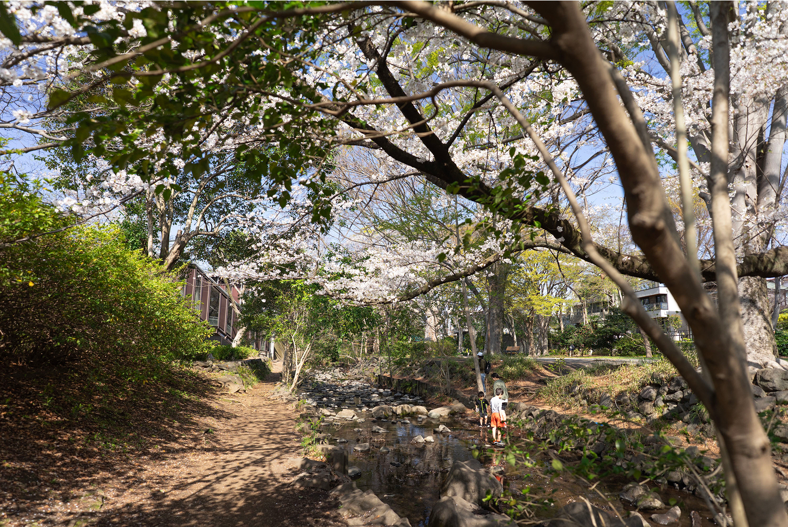 三角公園 ｜ 広場やこどもが楽しめる水場もある駅前公園