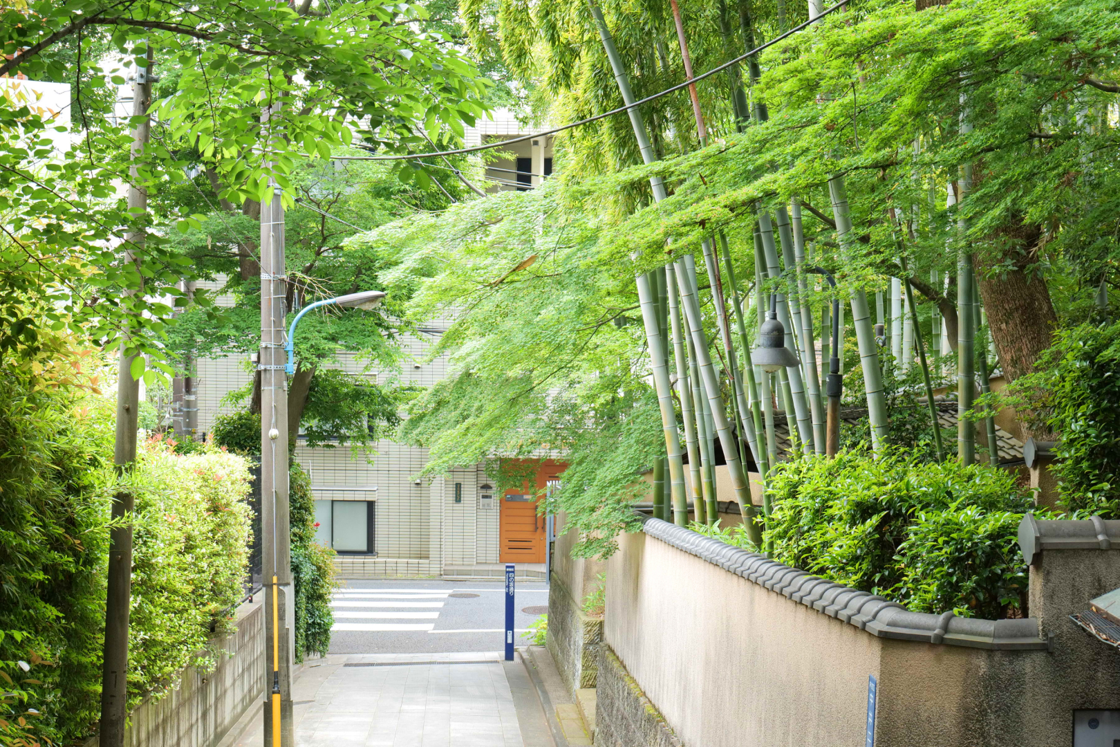 はす向かいは、林芙美子記念館という緑豊かな環境
