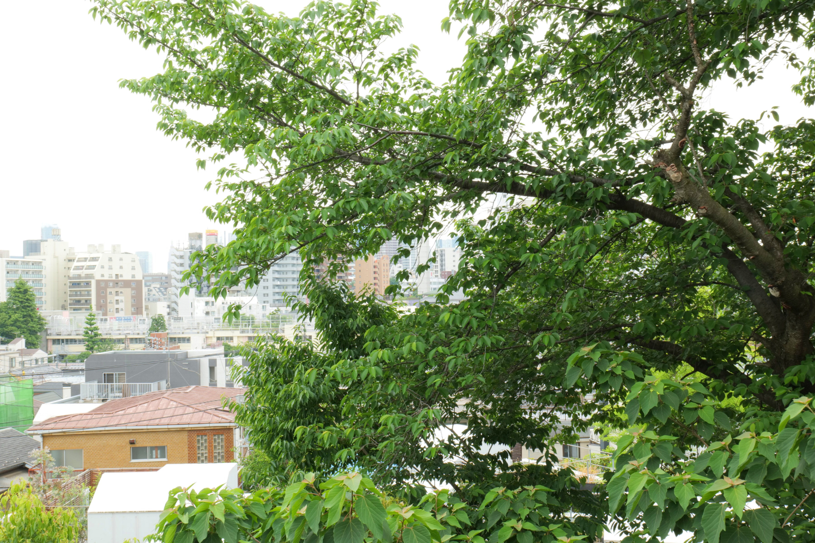 当該住戸は、南側は視線が抜けていて眺望良好です
