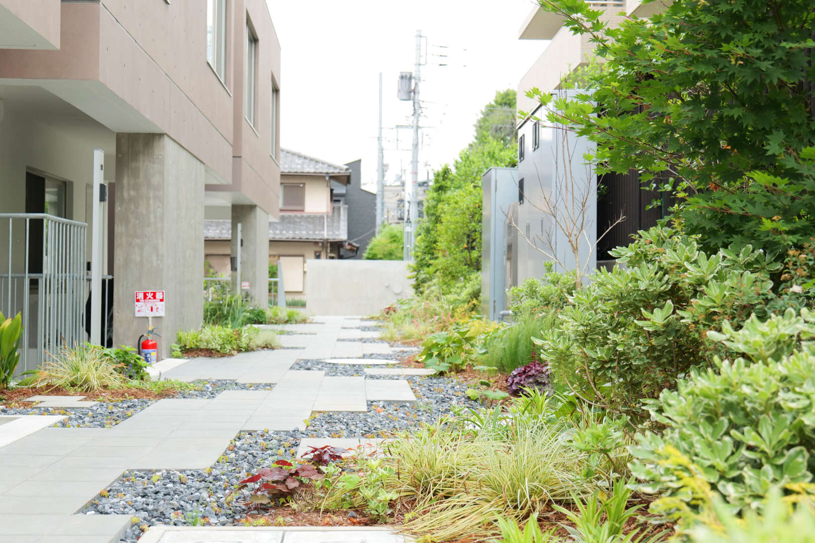 敷地内の樹木が素敵です