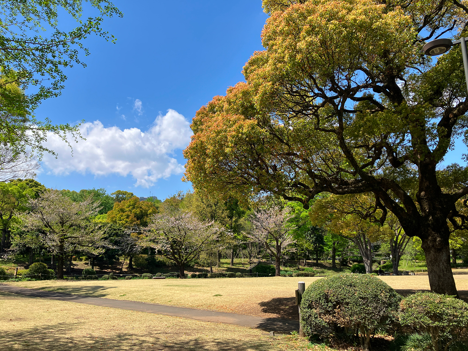 北の丸公園