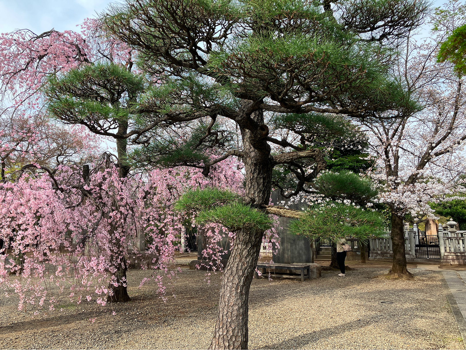 護国寺