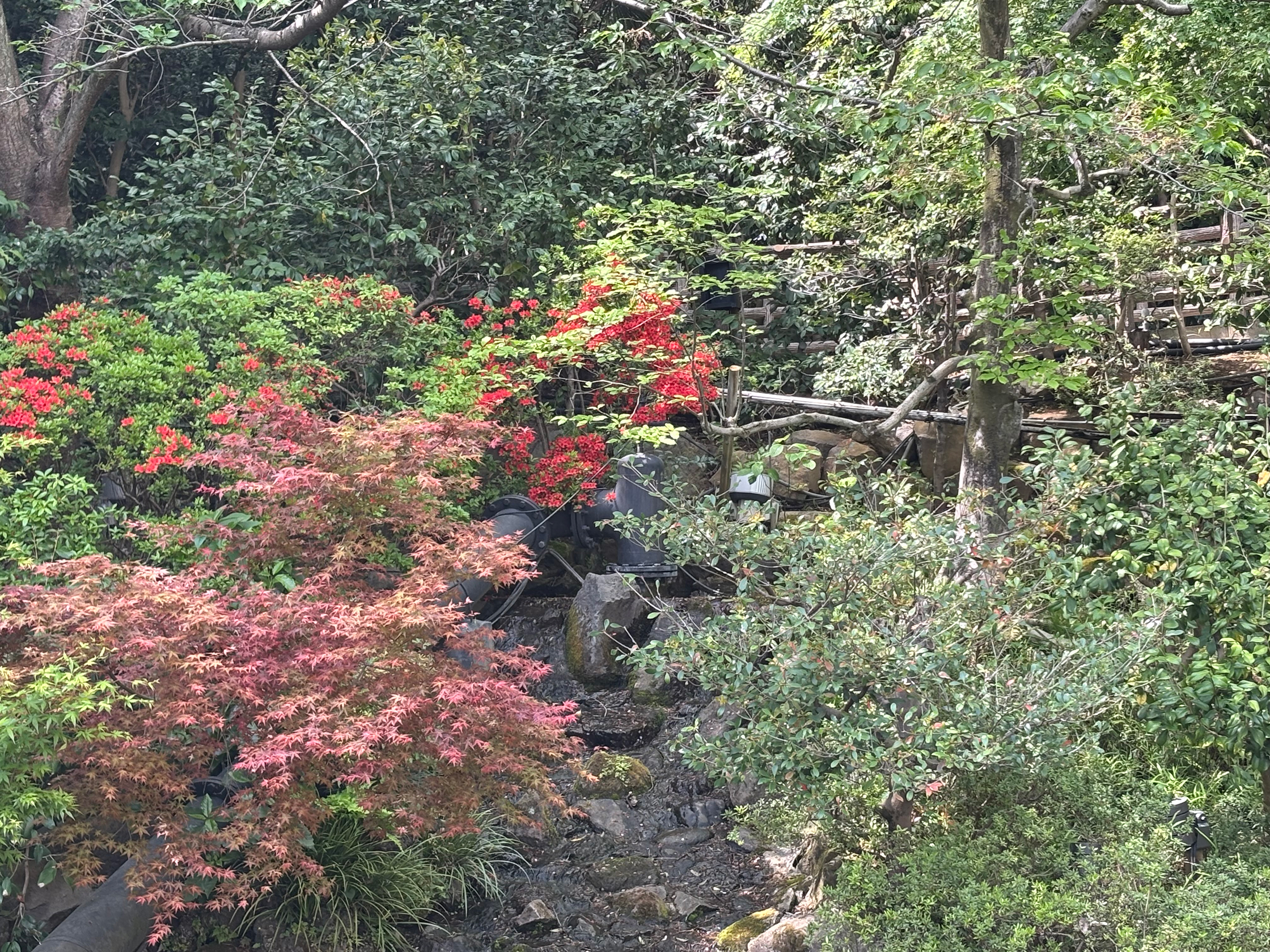 椿山荘