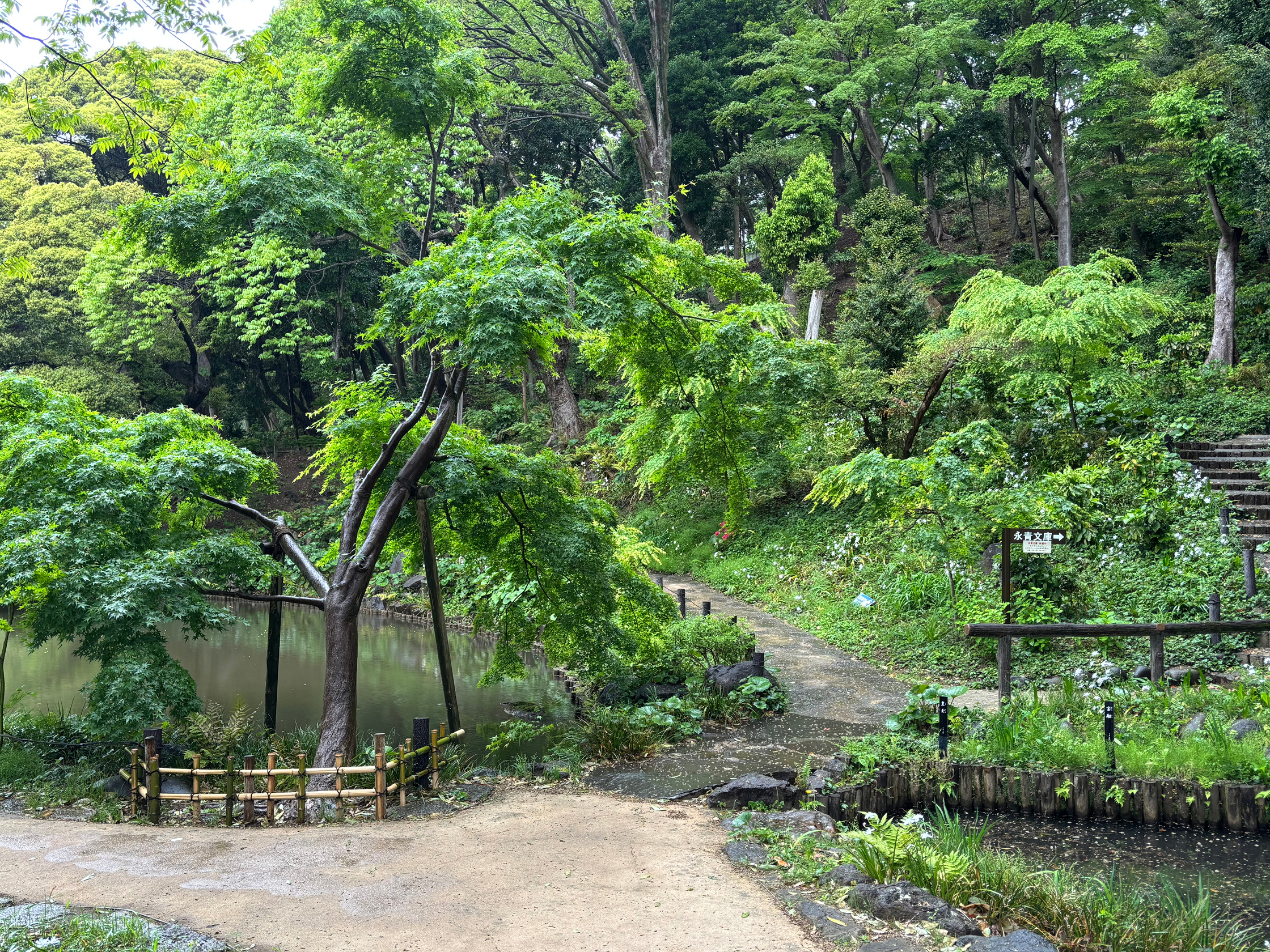 肥後細川公園