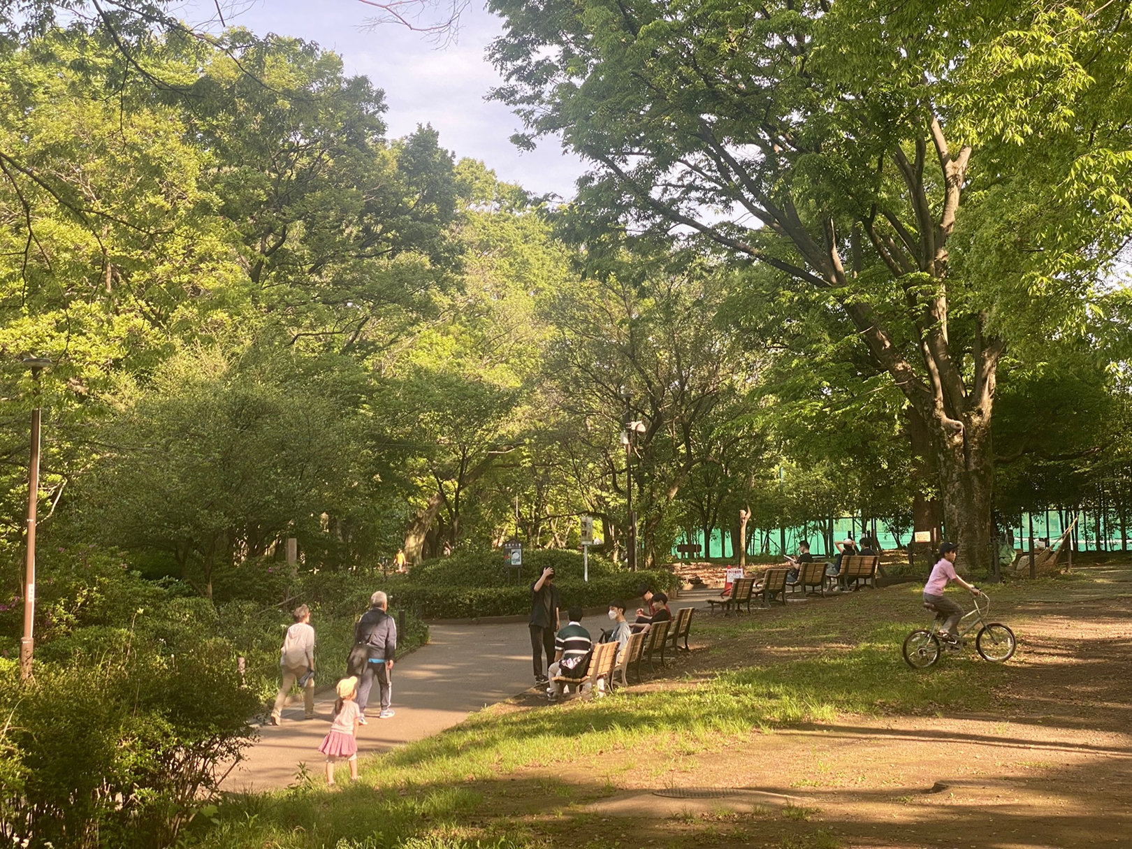 駒場野公園　ロクタスから550ｍ