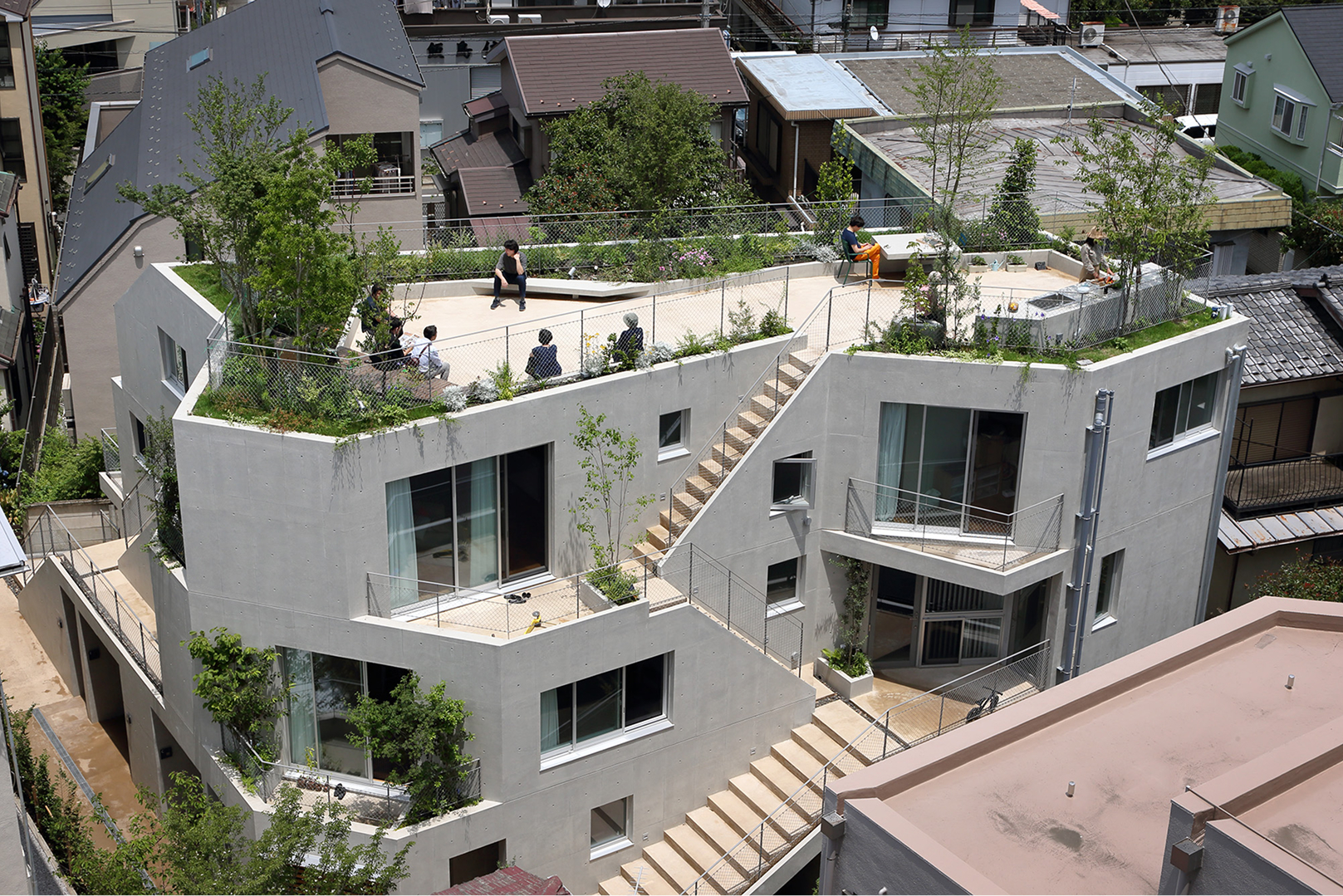 ミドリノオカ学芸大学1