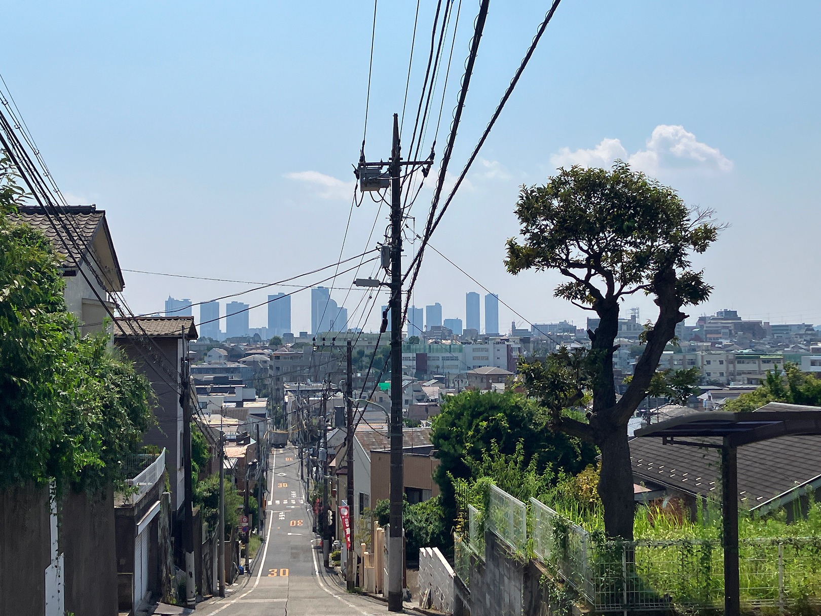 尾根沿いの眺望