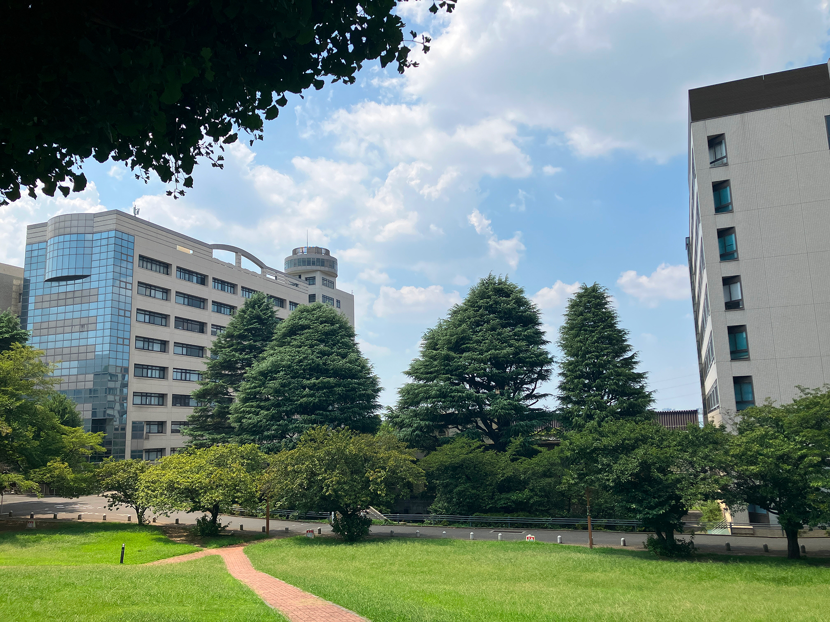 東京科学大学