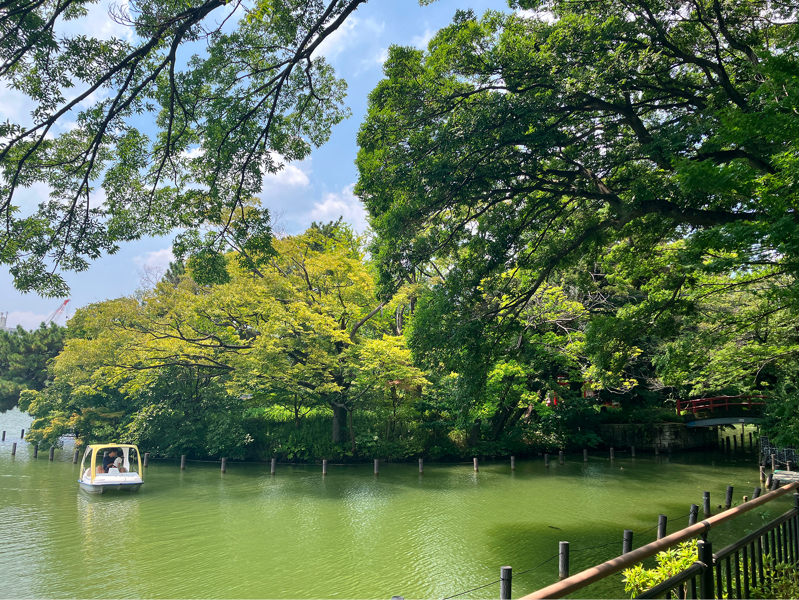洗足池公園