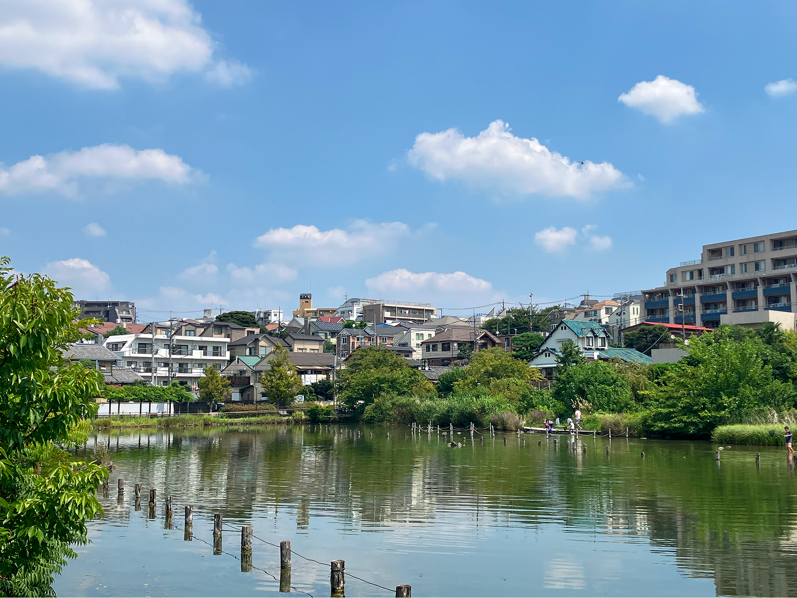 小池公園