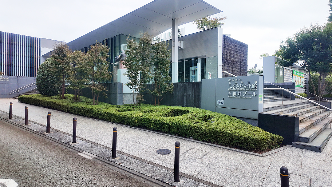 ふるさと文化館、石神井プール（2,000m）｜ 夏季限定の屋外プールで、広々とした水面と緑の景観が魅力