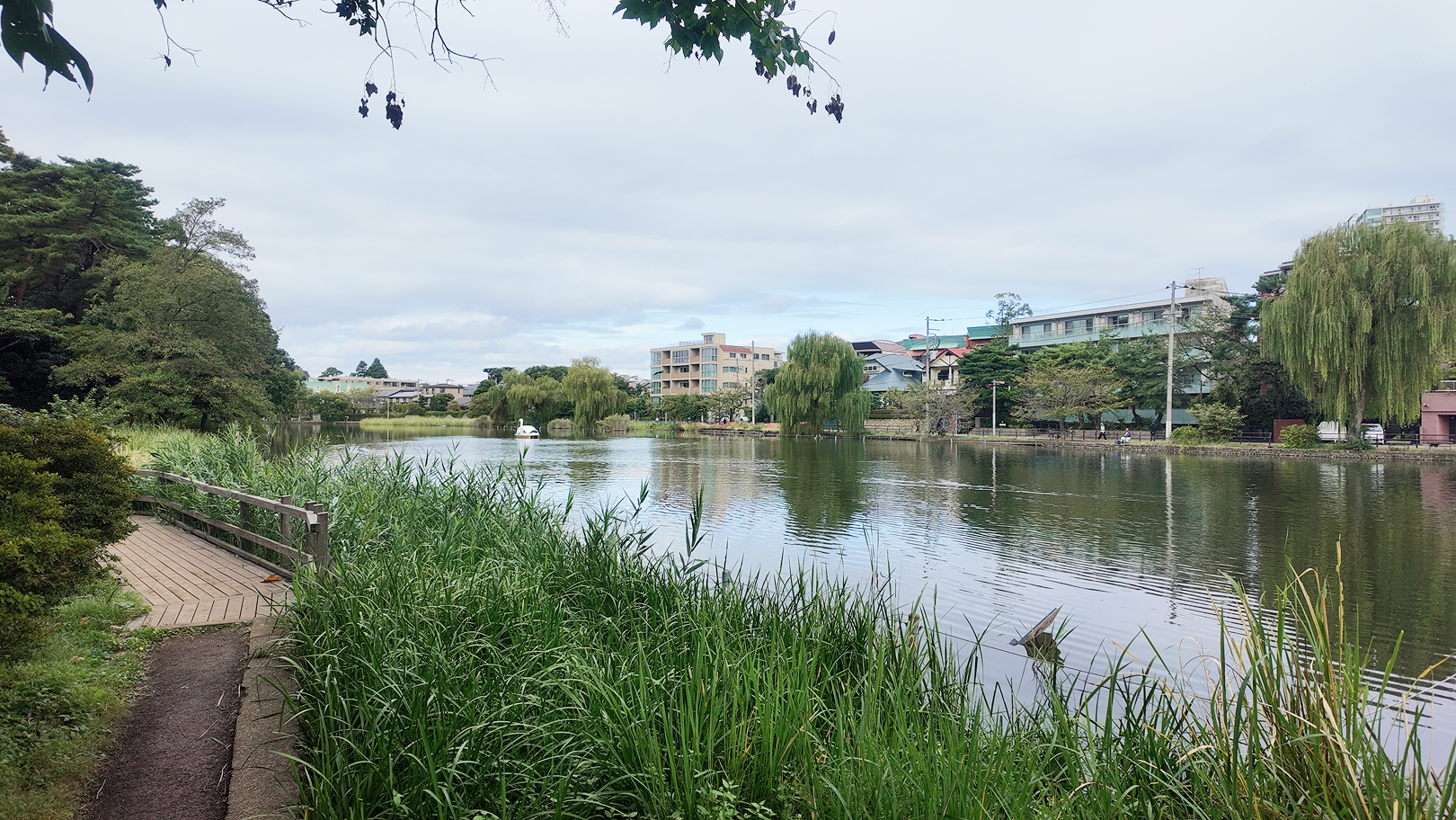 都立石神井公園（1,100m）｜散歩やジョギングに最適な緑豊かな自然公園