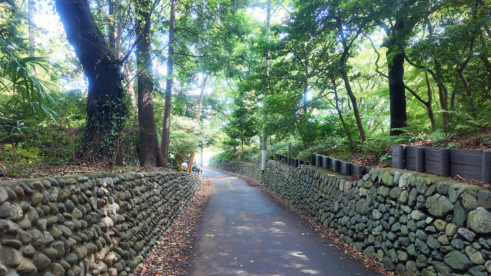 石神井公園記念庭園に繋がる道
