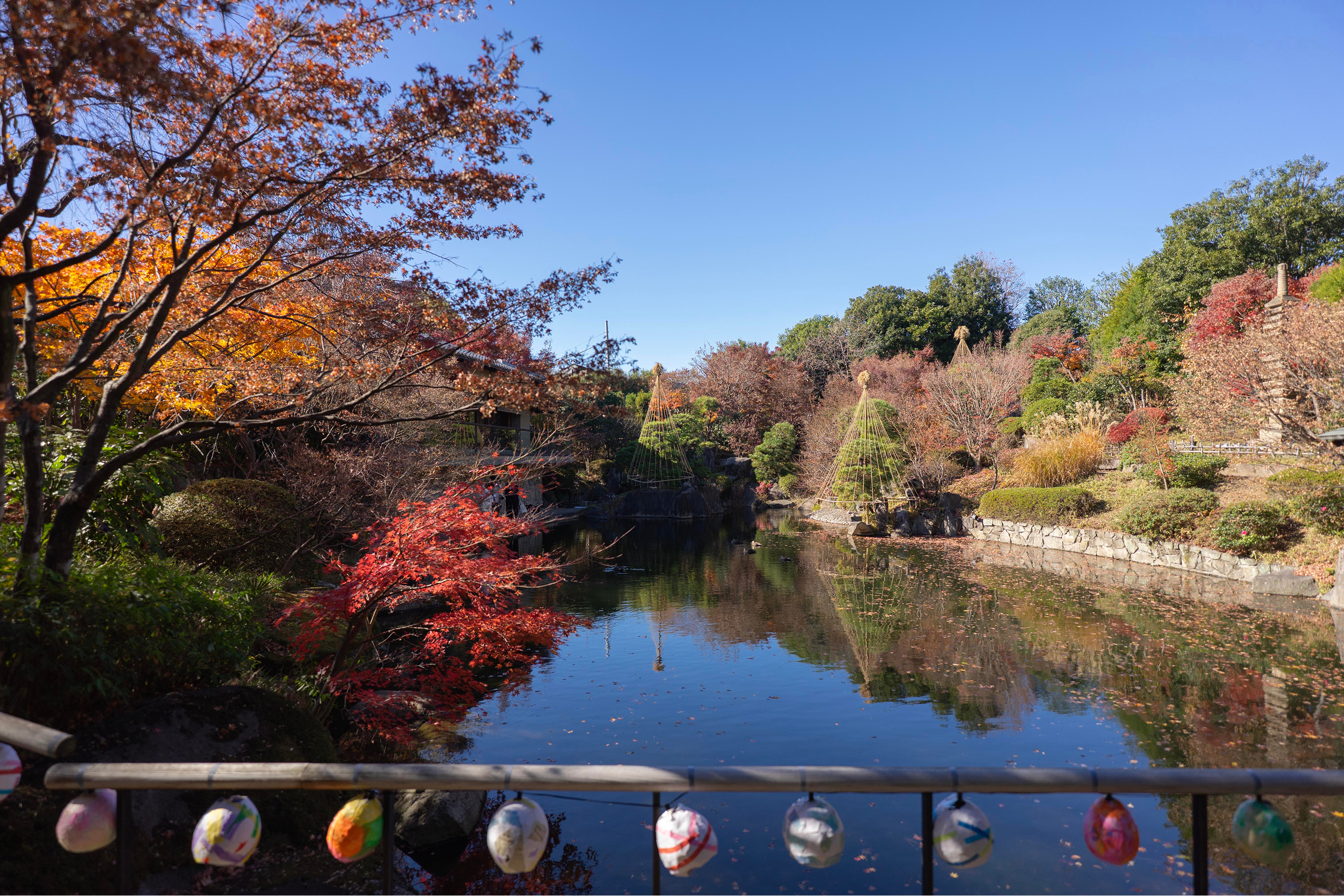 目白庭園の紅葉｜計画地から徒歩7分