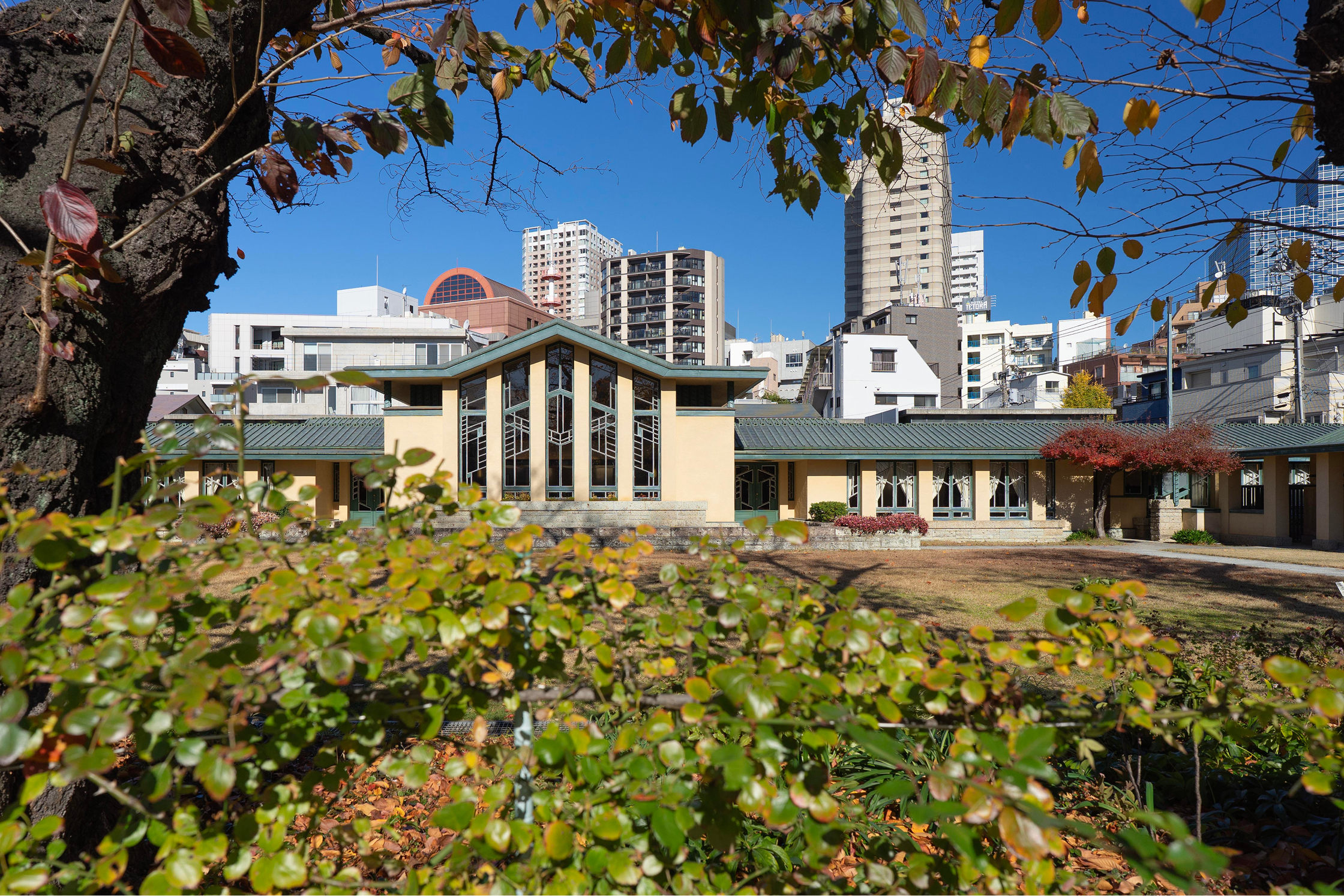 フランク・ロイド・ライトの小路（自由学園明日館）｜池袋駅〜計画地
