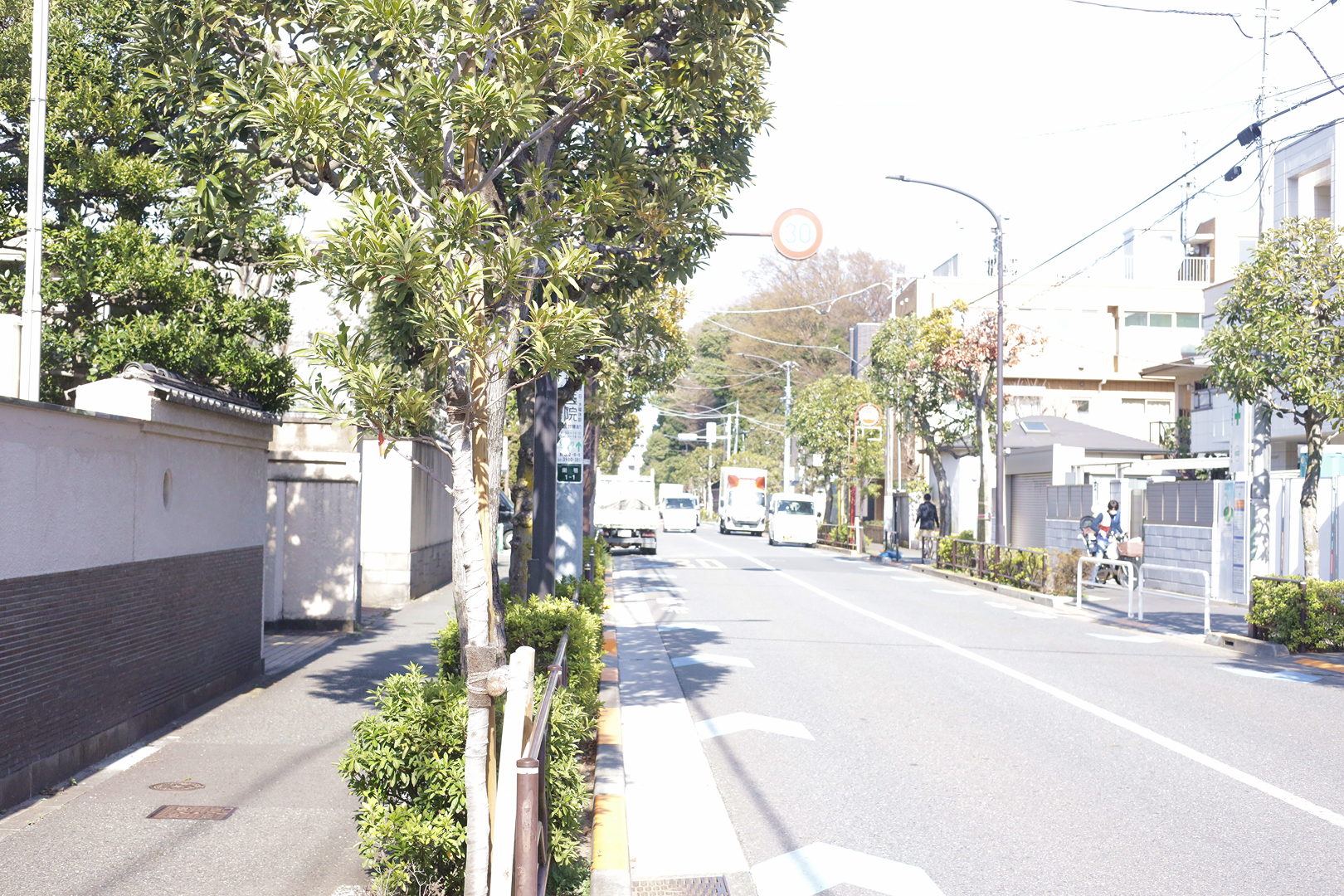 計画地前面道路