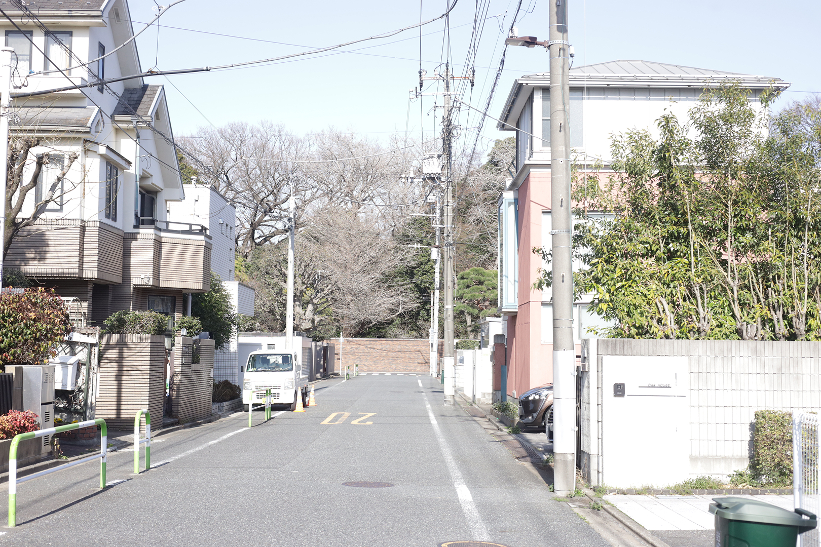 住宅地から感じられる六義園の緑