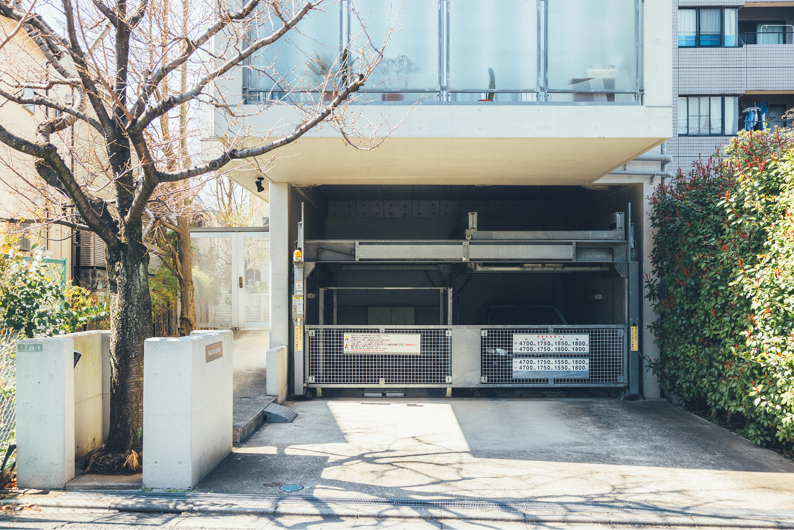 大きな桜のシンボルツリーと専用駐車場