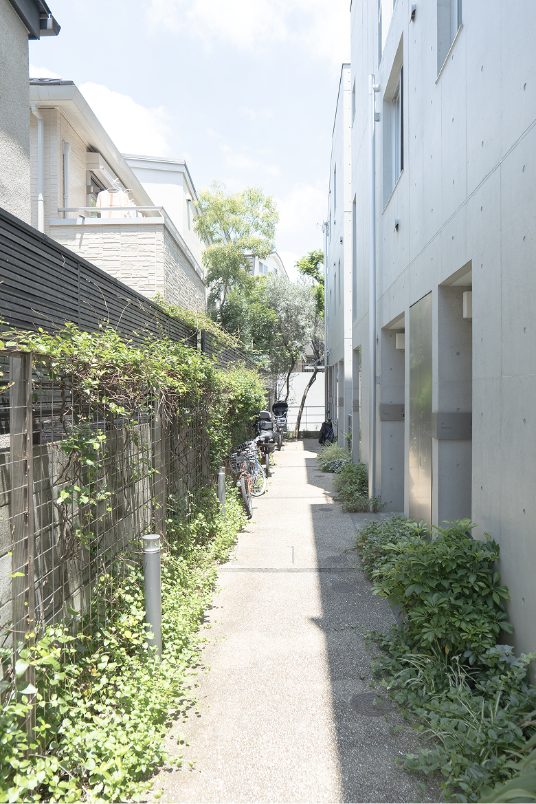 緑豊かなアプローチ通路。（2026年7月撮影）